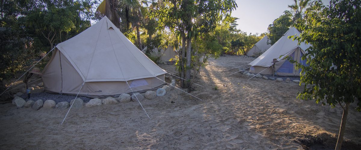 Todos Santos Hostel Patio and Garden-4